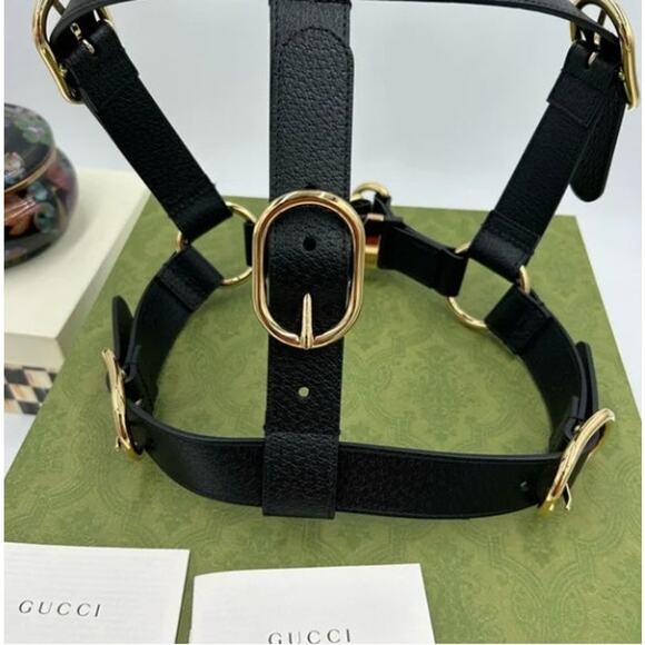 Gucci demetra , extra large leather dog harness made in Italy - Picture 7 of 14